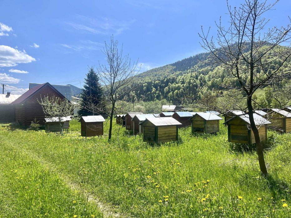 Здам подобово два дерев'яні будинки в Карпатах: Маєток  «LINDEN GROVE»