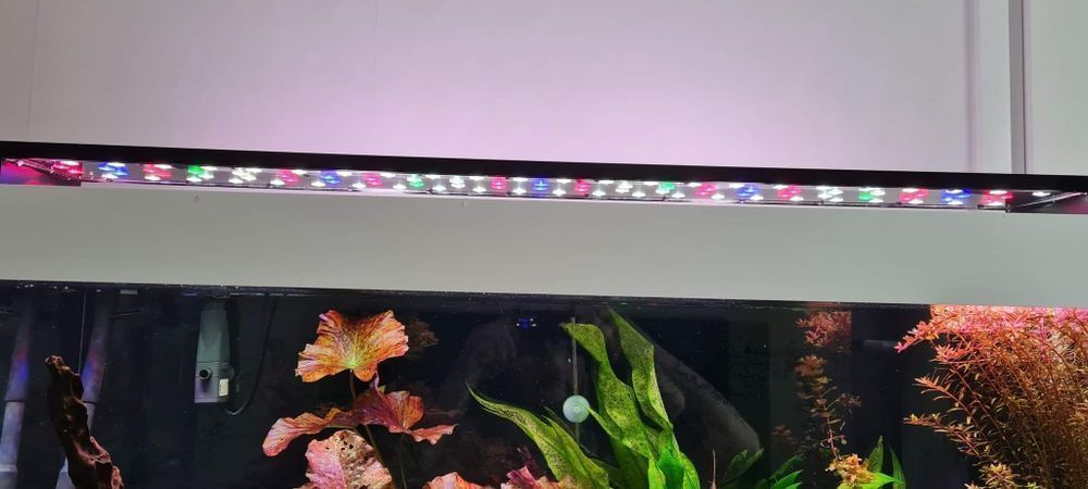 Lampa do Akwarium 80 cm Power LED - firma - na każdą długość akwarium