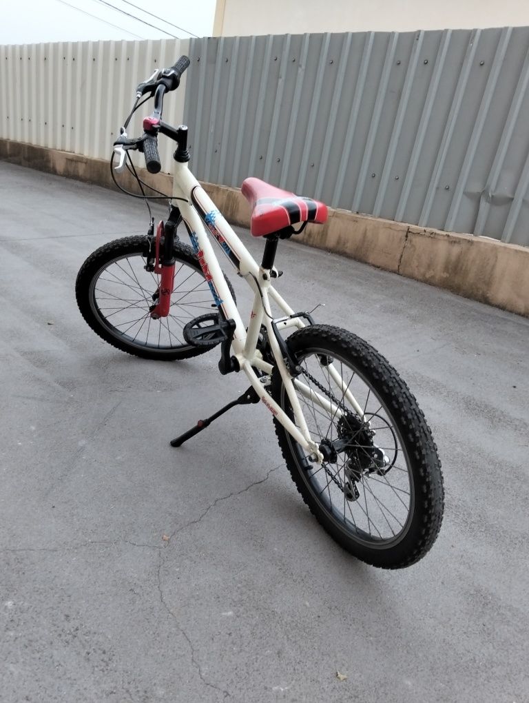 Bicicleta roda 20 com suspensão