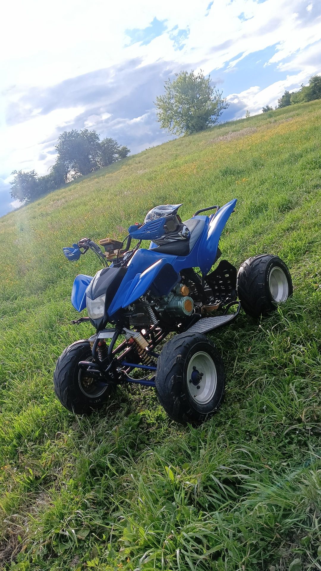 Sprzedam Bashan 200
