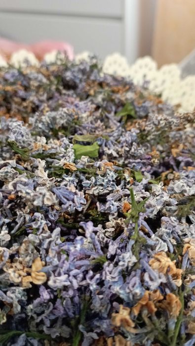 Цветы ,,Сирени " сушенные