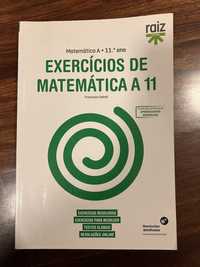 Matematica A 11ano