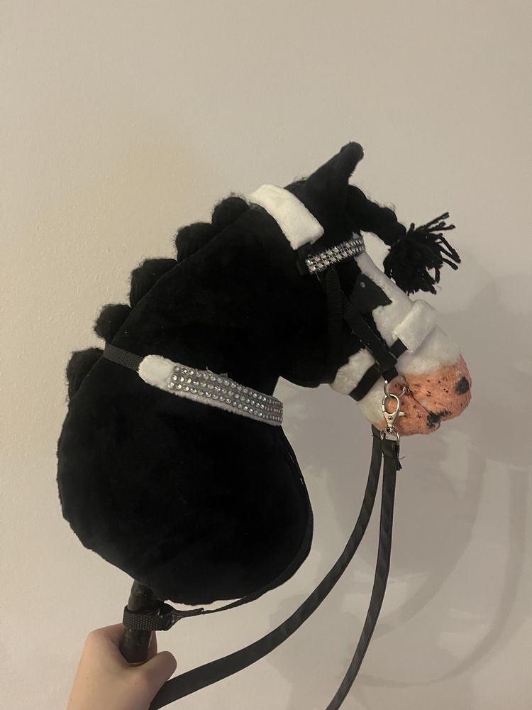Hobby horse skoki