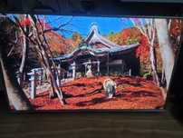 Telewizor Sharp 55' 4k Ultra HD, WiFi, Smart TV, Bluetooh, DVB-T2 HEVC