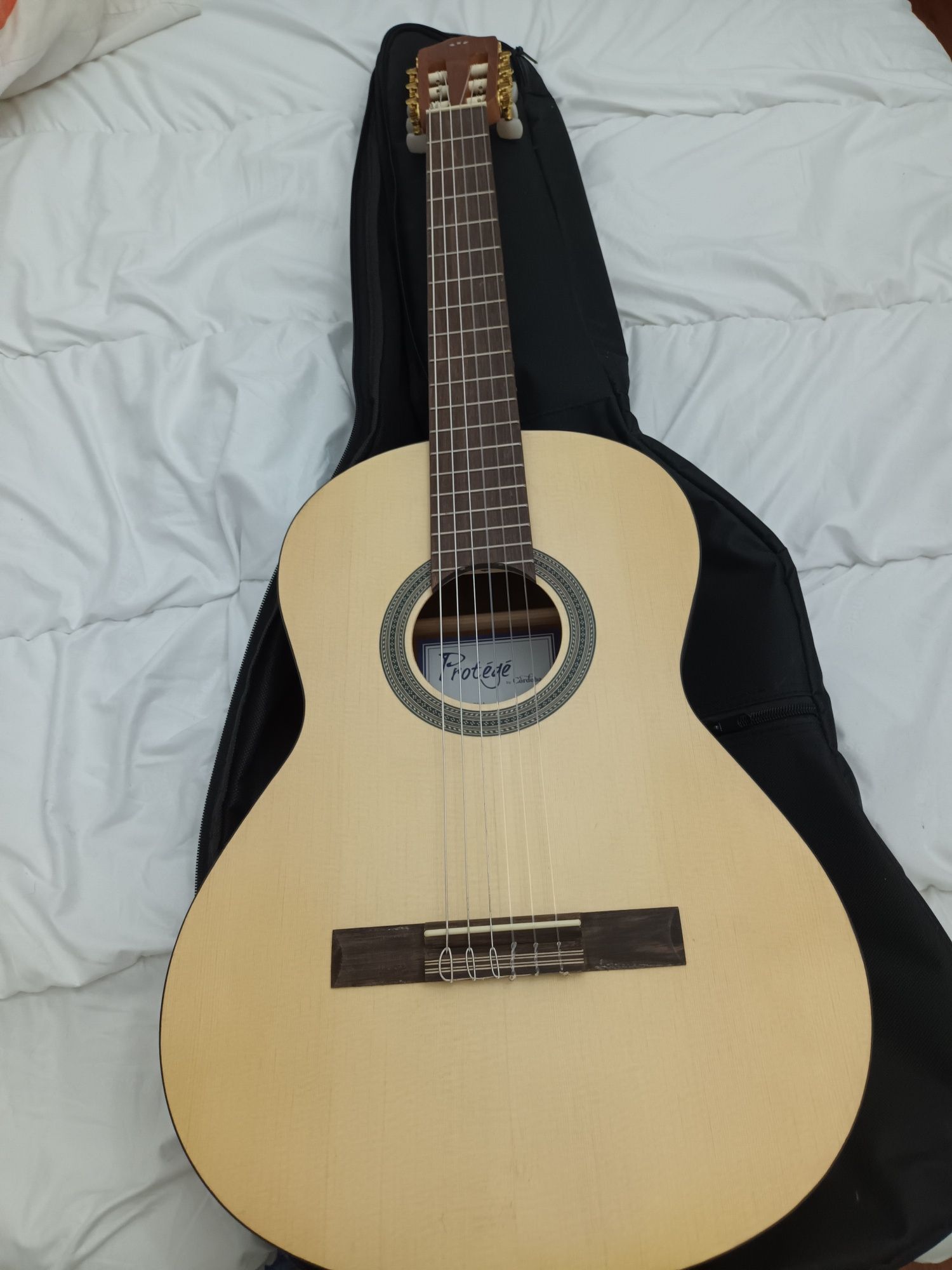 Guitarra e acessórios