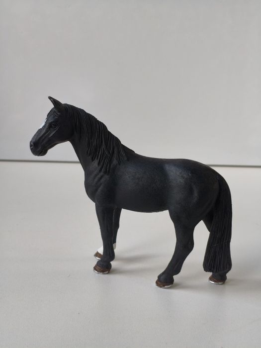 Коні шляйх. Кінь. Лошадь.