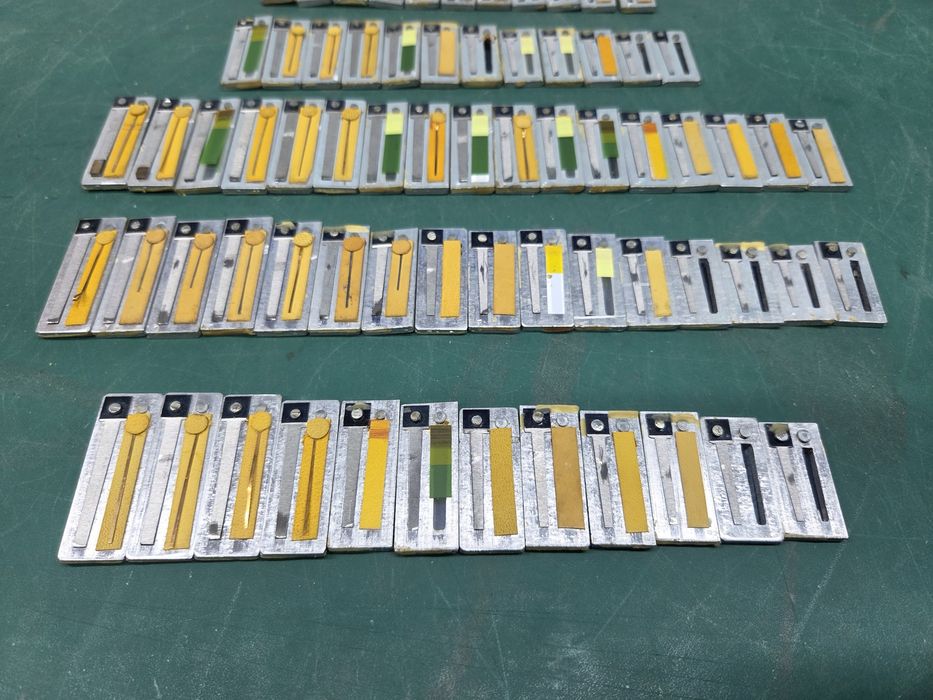 Głosy do akordeonu lub harmonii