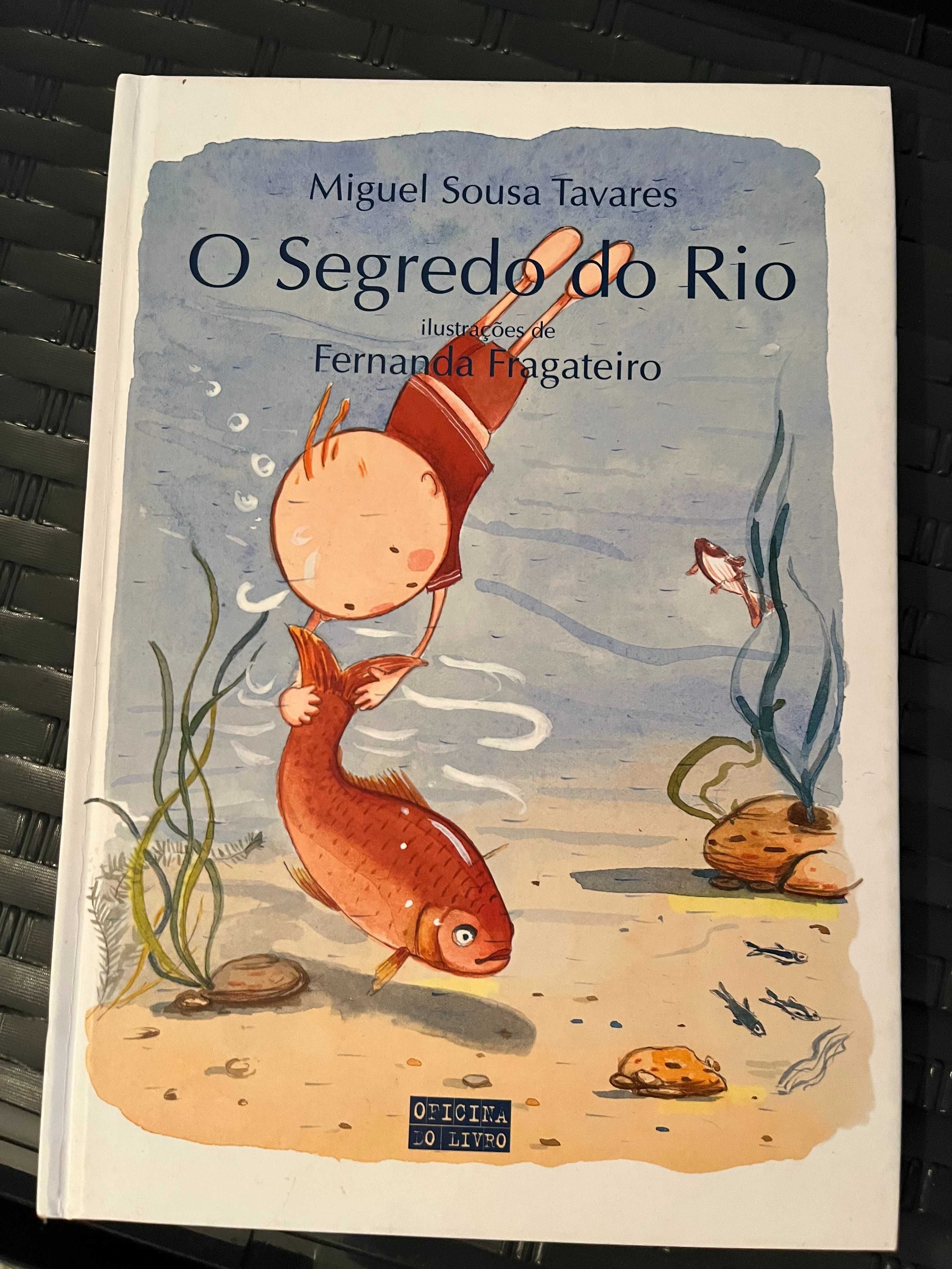 O Segredo do Rio, Miguel Sousa Tavares