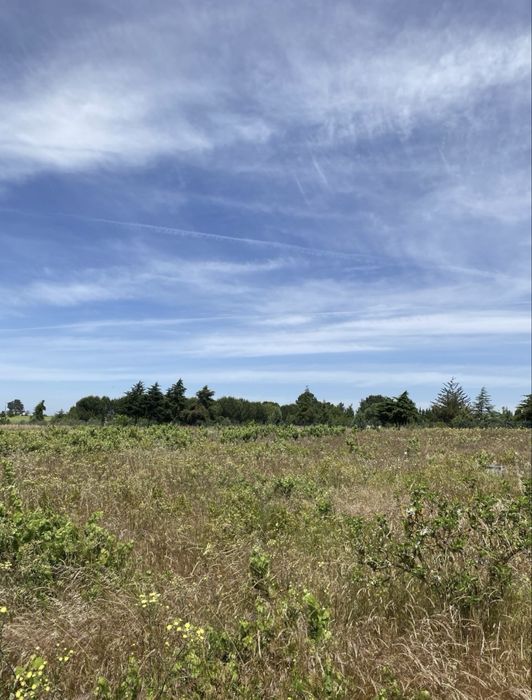 Terreno com furo e eletricidade em avos