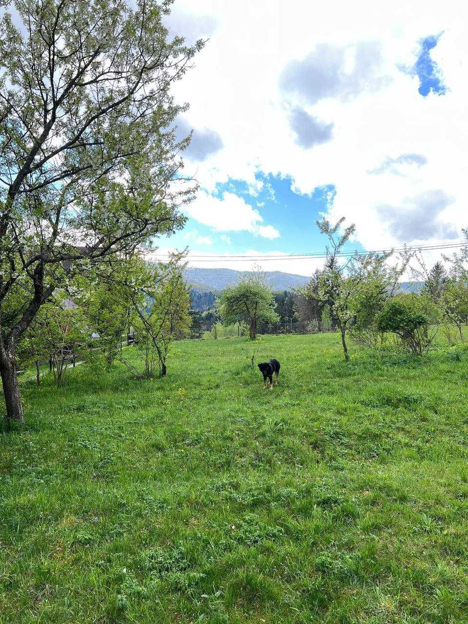 Продам земельну ділянку в Карпатах під забудову в м. Яремче!