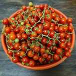 Tomate cherry - produção própria