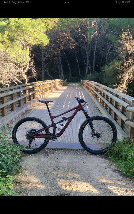 Specialized status 160 enduro