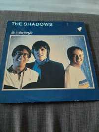 Disco Vinil The Shadows - Life in the jungle