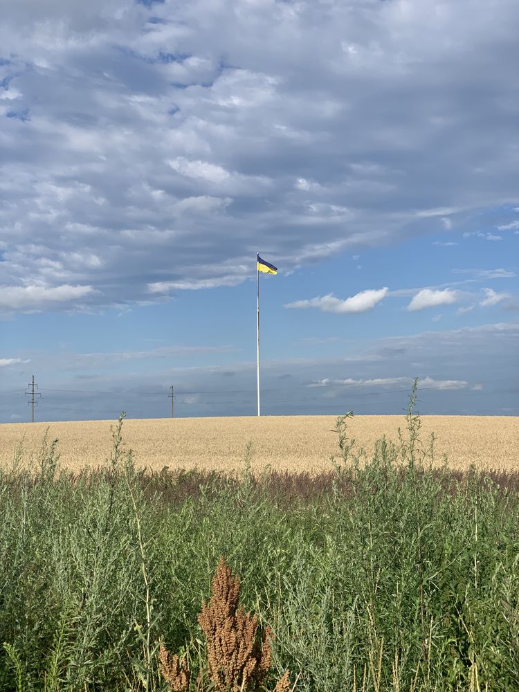 Пай земля с/г призначення Полтавська обл.