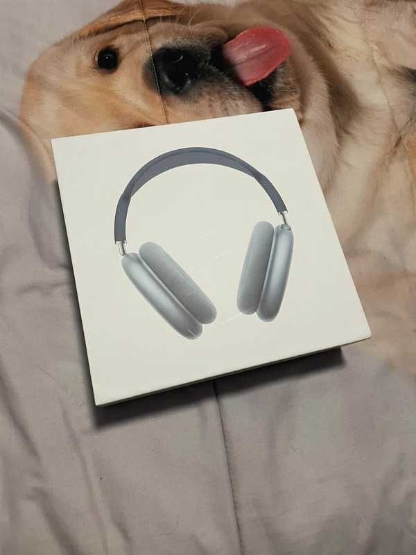 Apple airpod max