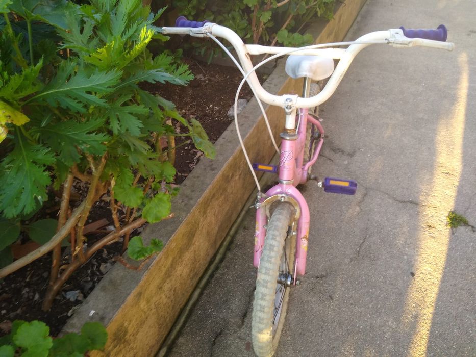 Bicicleta Princesas
