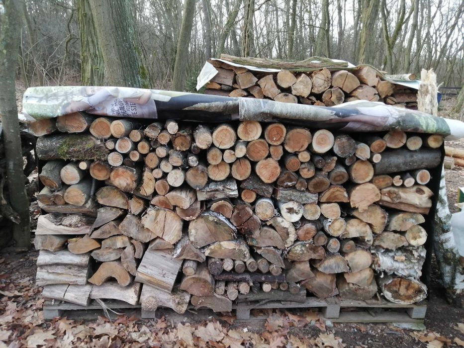 Drewno opałowe iglaste/sosna/mieszanka liściasta