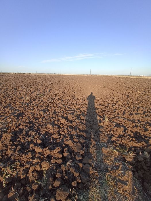 Послуги оранки. Та дісковки.