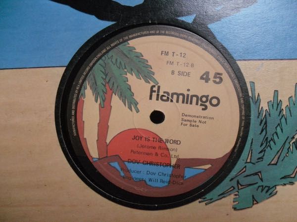 Dov Christopher  ‎– Do It To Me One More Time. Vinyl, 12",  Promo
