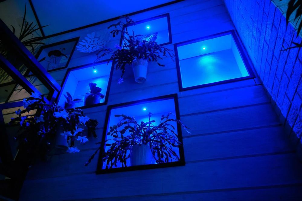 Котедж Яремче відпочинок Карпати