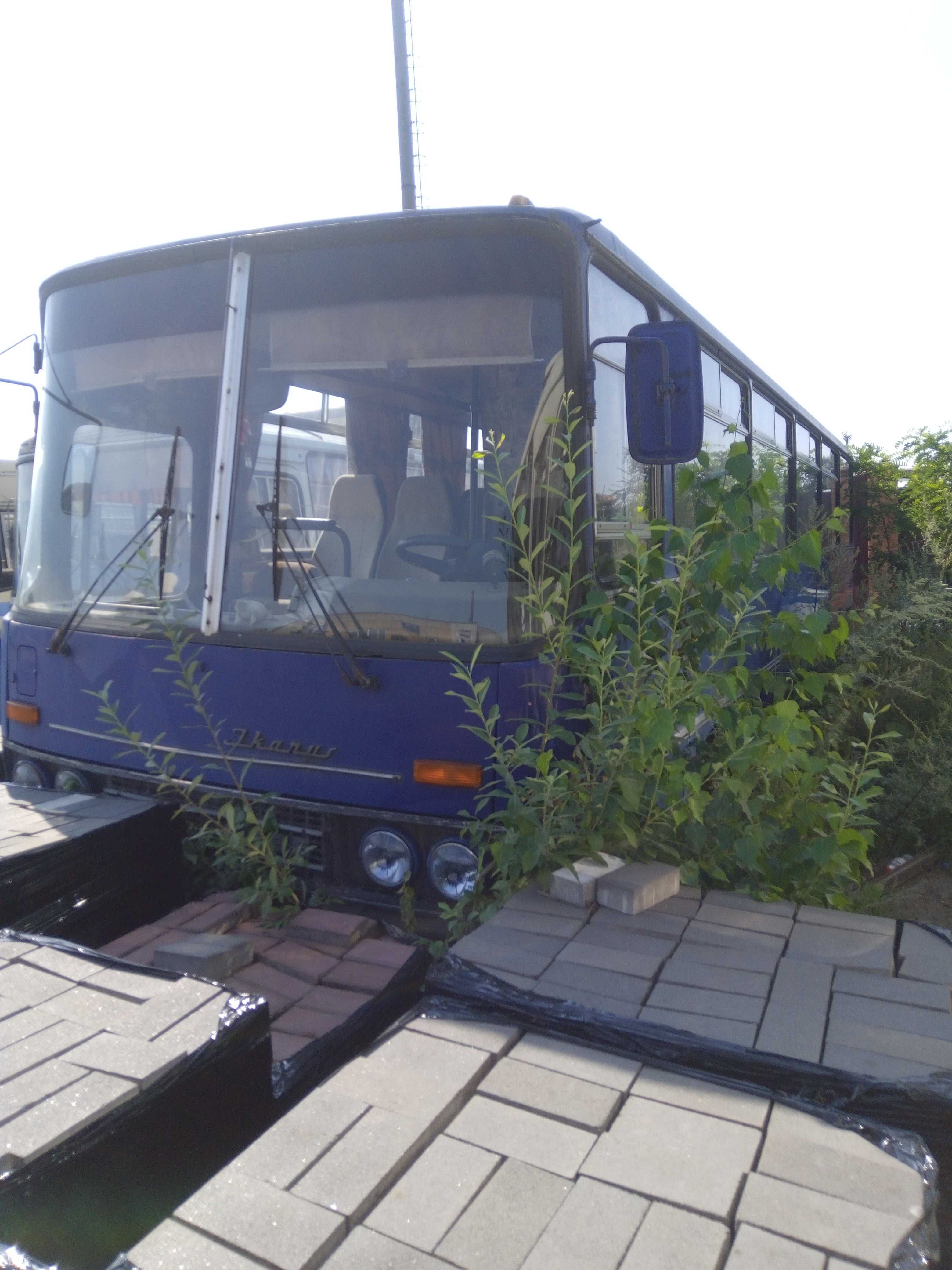 Автобус IKARUS 256