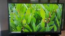 Монітор 23" Asus VC239H монитор
