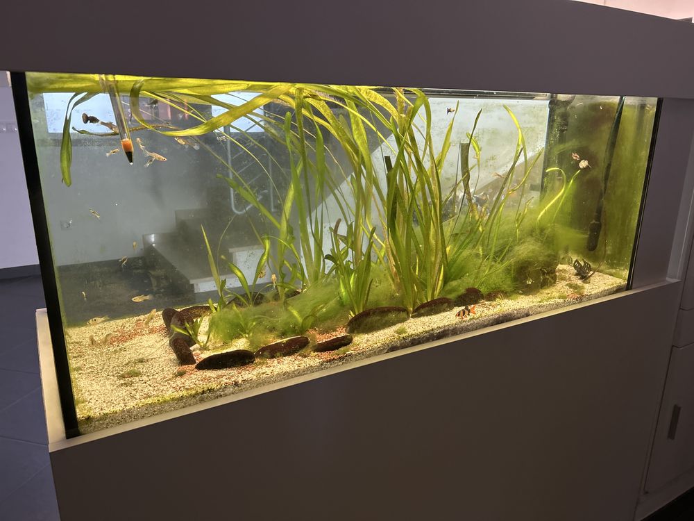 Aquario com movel e sistema de filtragem