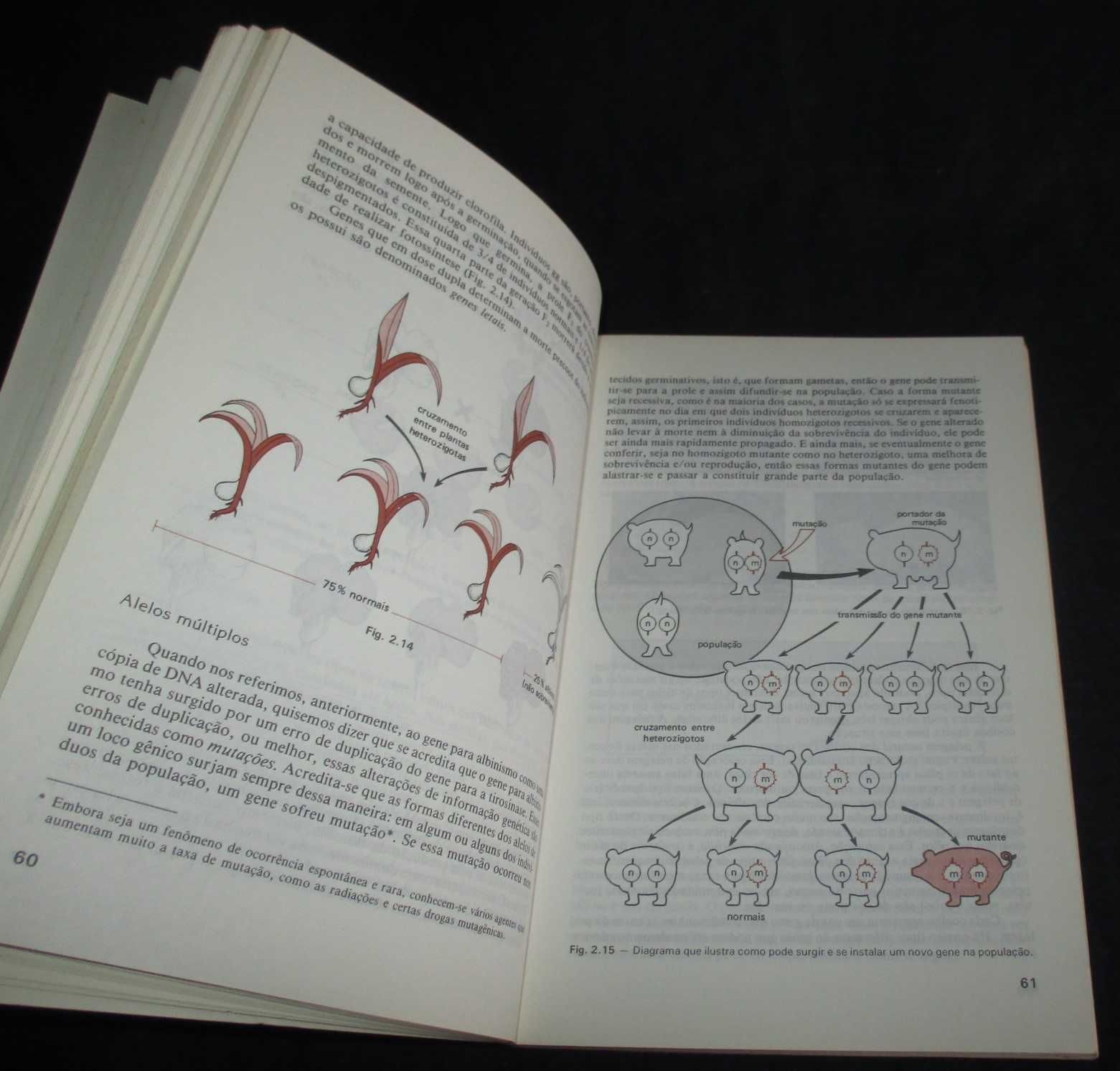 Livro Curso Básico de Biologia Amabis e Martho 3 Volumes