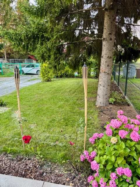 Dom z ogrodem miejscami postojowymi Pń Kotowo - 3 niezależne pokoje