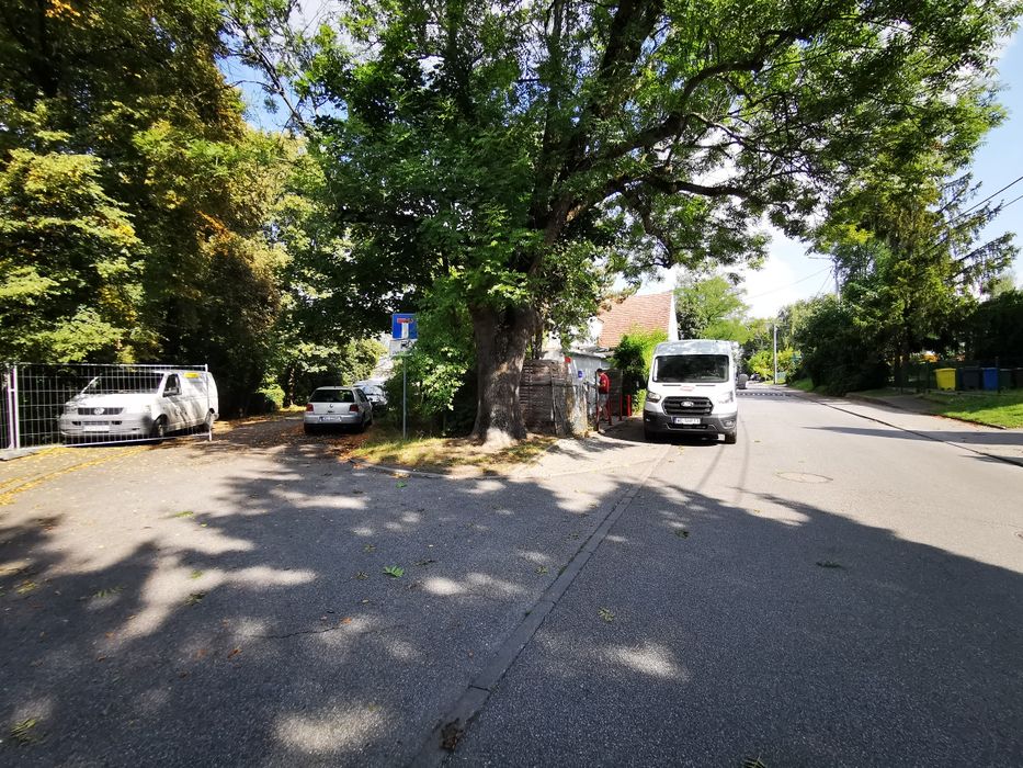 Dzierżawa gruntu, wynajem placu, food truck, warzywniak, gastro