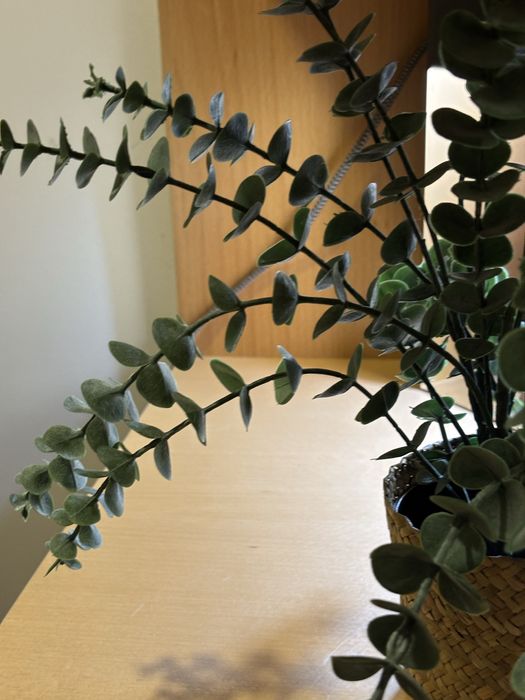 É Natal! Cesta de palhinha com verdes, para pender ou pousar