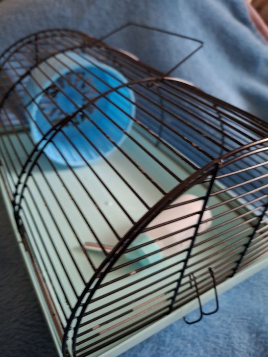 Хом'ячок джунгарик з кліткою. Клітка для хом'яка