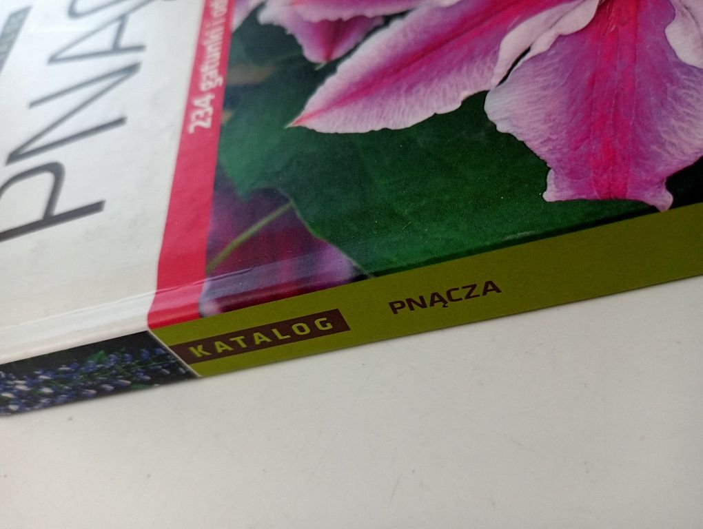Pnącza Szczepan Marczyński