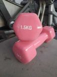 Hantle fitness winylowe, ciężarki winylowe 2x1,5 kg