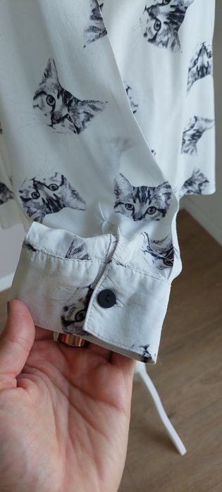 Biała koszula, bluzka w KOTY, CAT, New Yorker FB Sister r.L