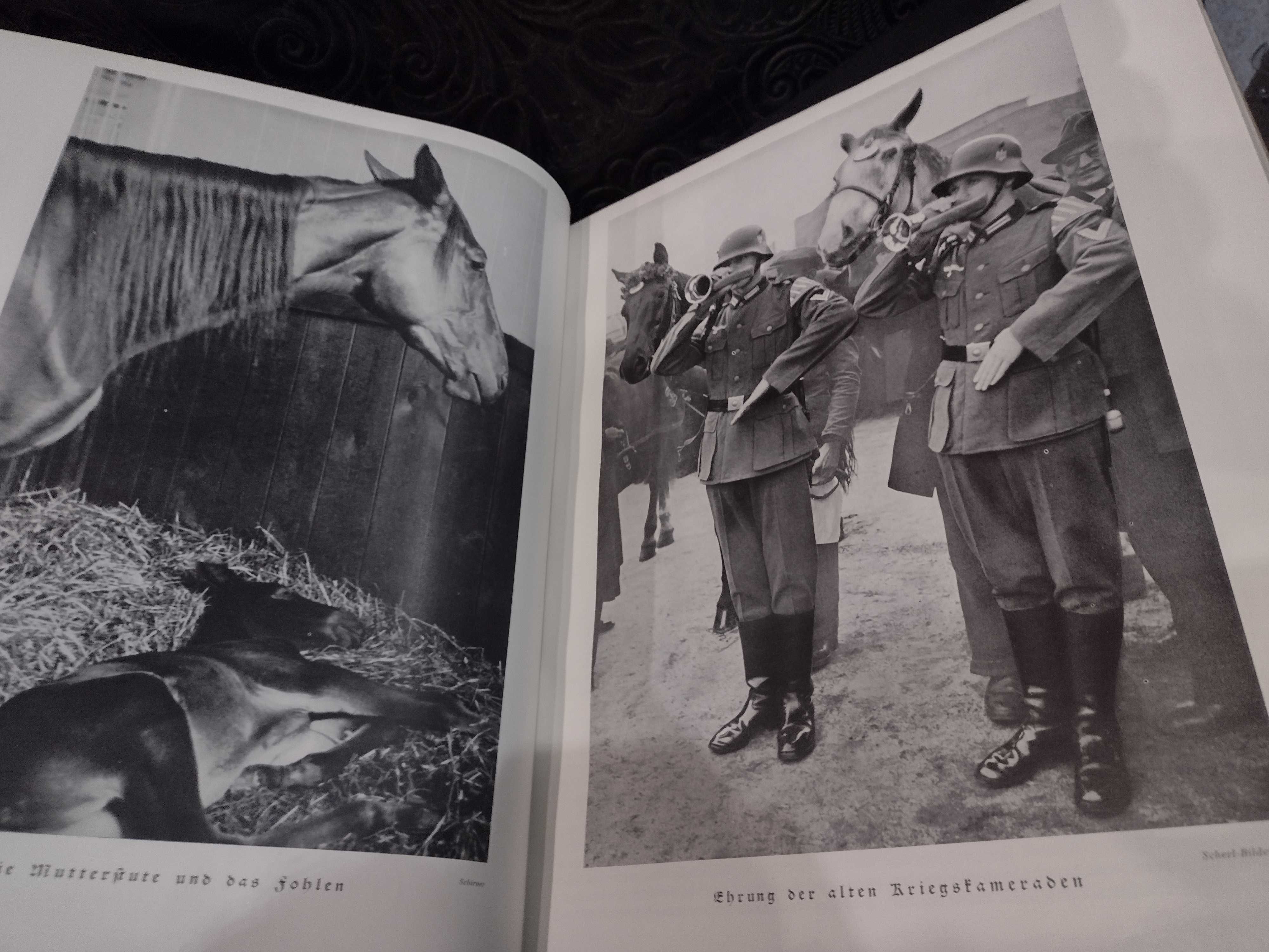 Paul Eipper 1938 Das Saustierbuch