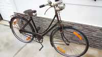 Bicicleta EFS (Pasteleira) de senhora