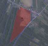 Duża działka leśna w miejscowości Błędnica, 9,7142 ha