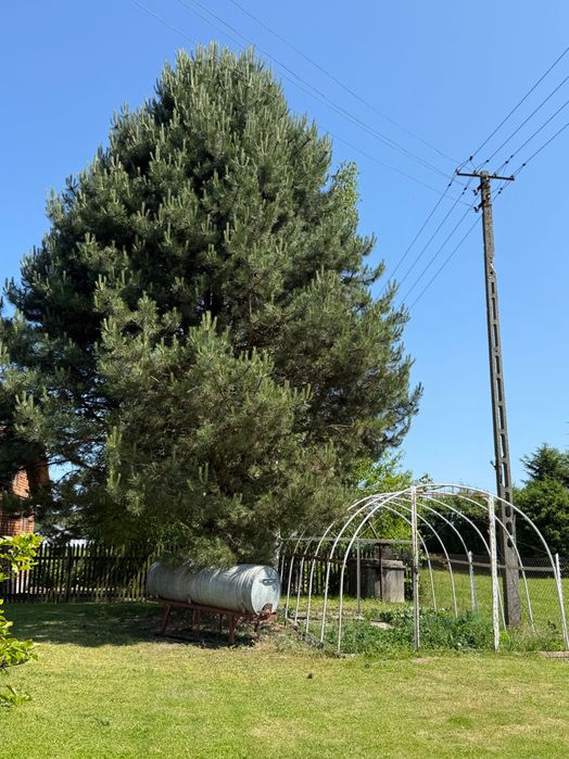 Sprzedam Dom z zabudowaniami, gospodarstwo 1,82 ha