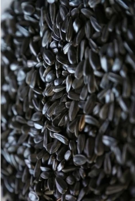 Соняшникове насіння