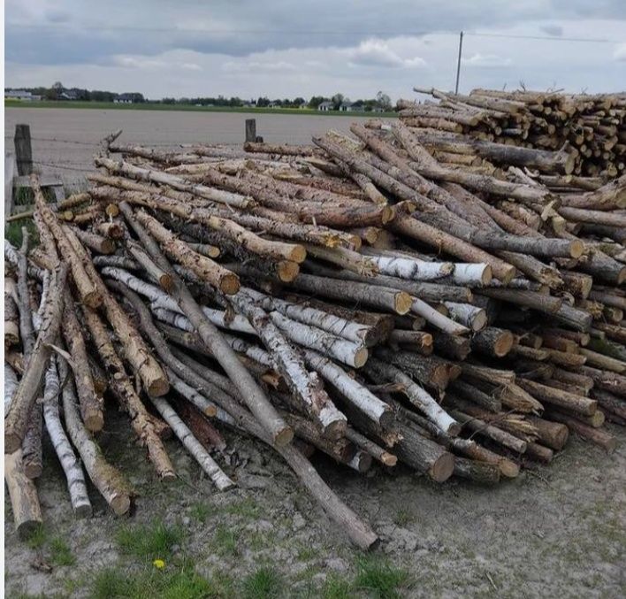 Drewno opałowe mieszane