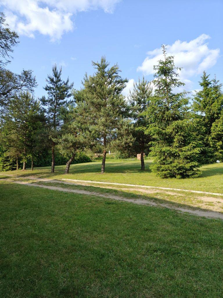 Domek letniskowy nad Brdą / Bory Tucholskie / kajaki / rowery/ grzyby