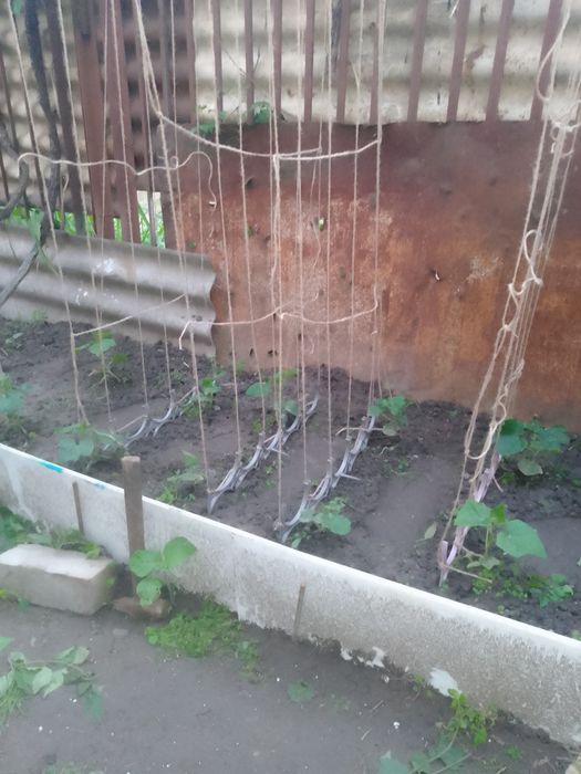 Продам дачный участок с двухэтажным домом