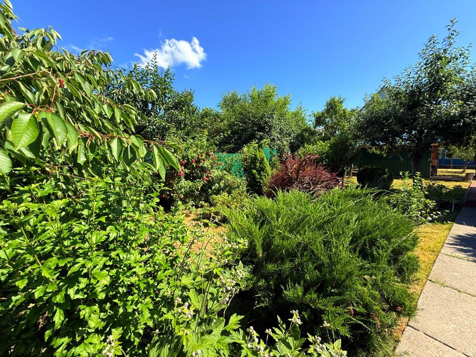 Продаж затишного садового будинок у СТ «Чайка-2» с. Чехівка