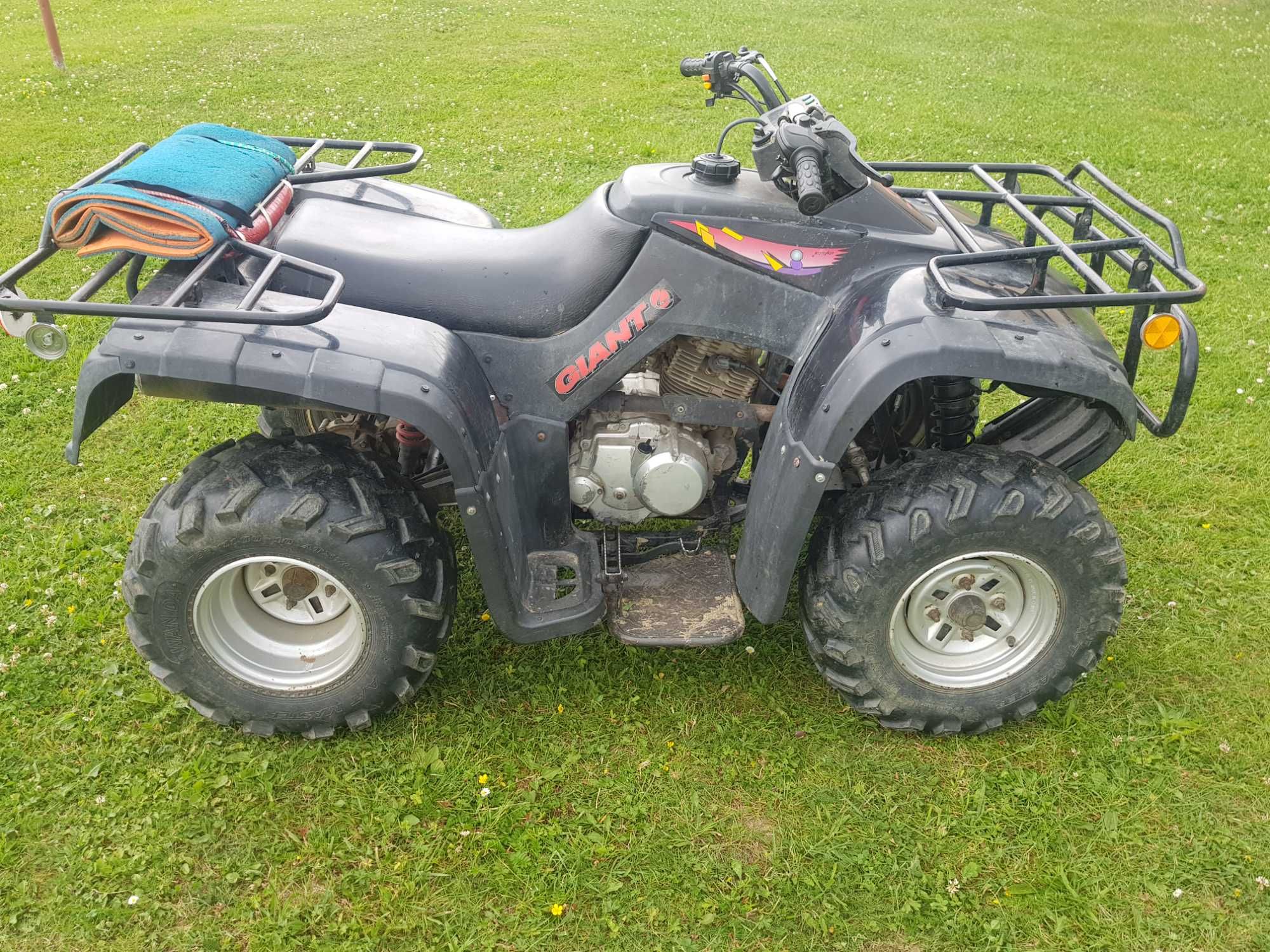 Quad Bashan BS-250s-5