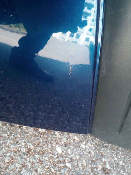 Para choques Renault Clio 2 fase 1 (para despachar)