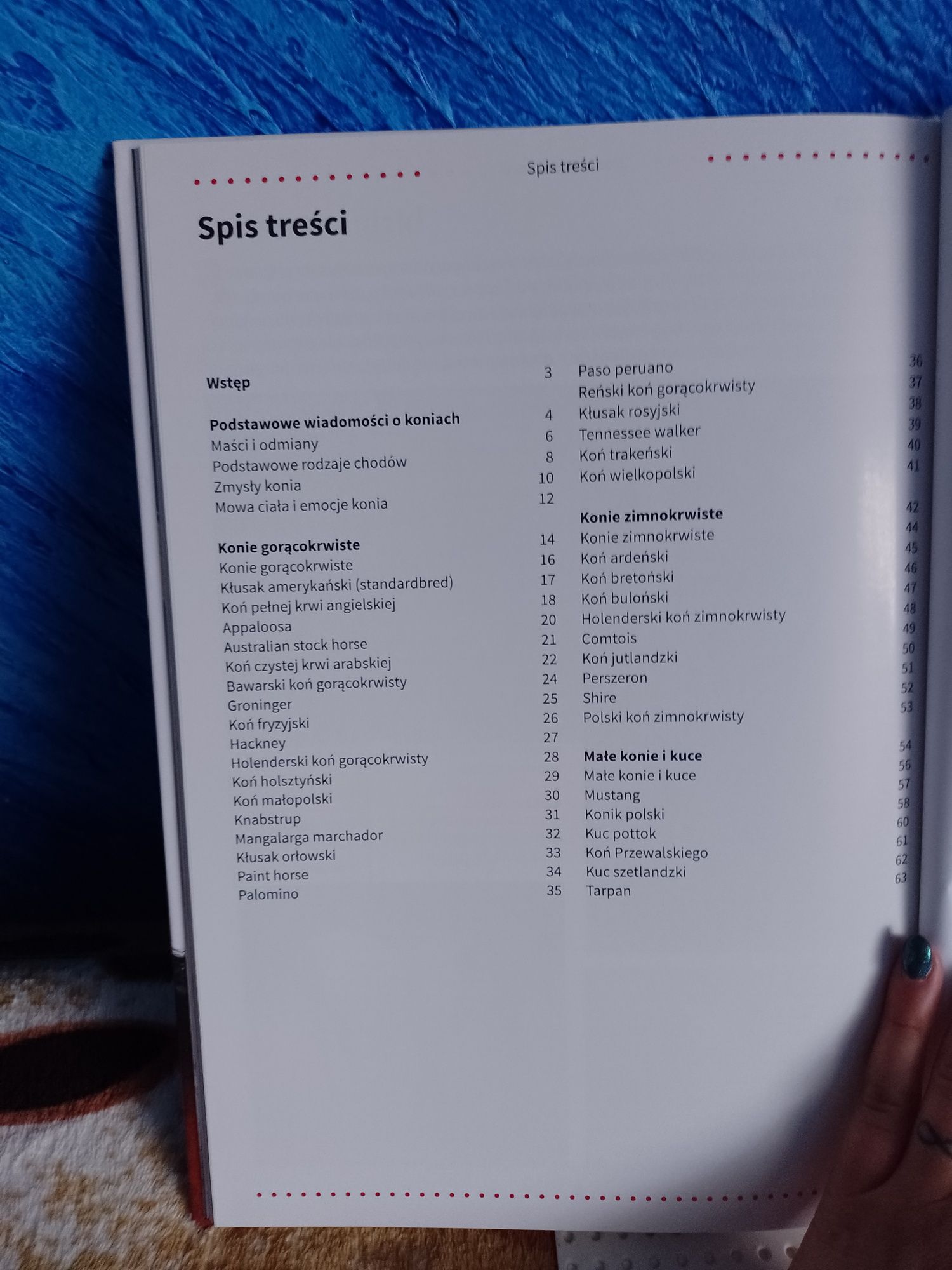 Konie biblioteka wiedzy twarda oprawa