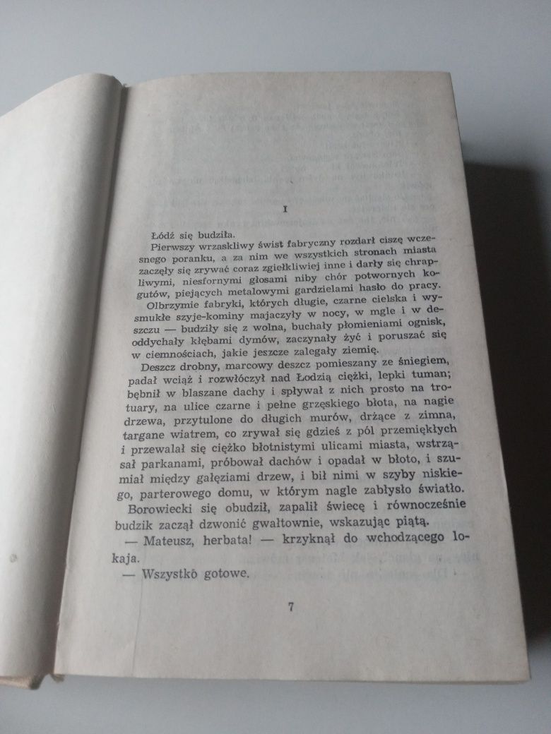 Ziemia obiecana - Stanisław Reymont