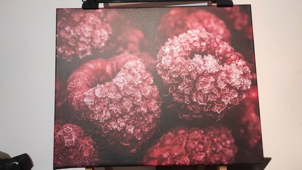 Obraz, nadruk na płótnie, zmrożone maliny, rozmiar 40x50