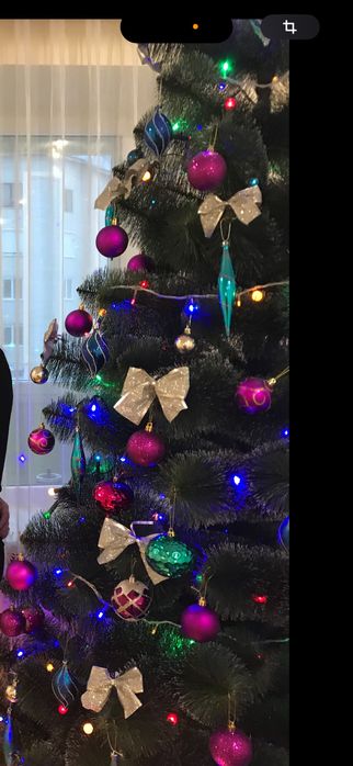 Продам ялинку / сосну в гарному стані